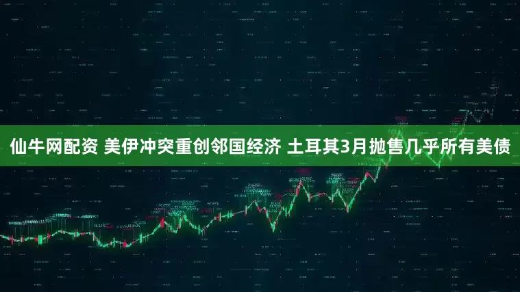 仙牛网配资 美伊冲突重创邻国经济 土耳其3月抛售几乎所有美债